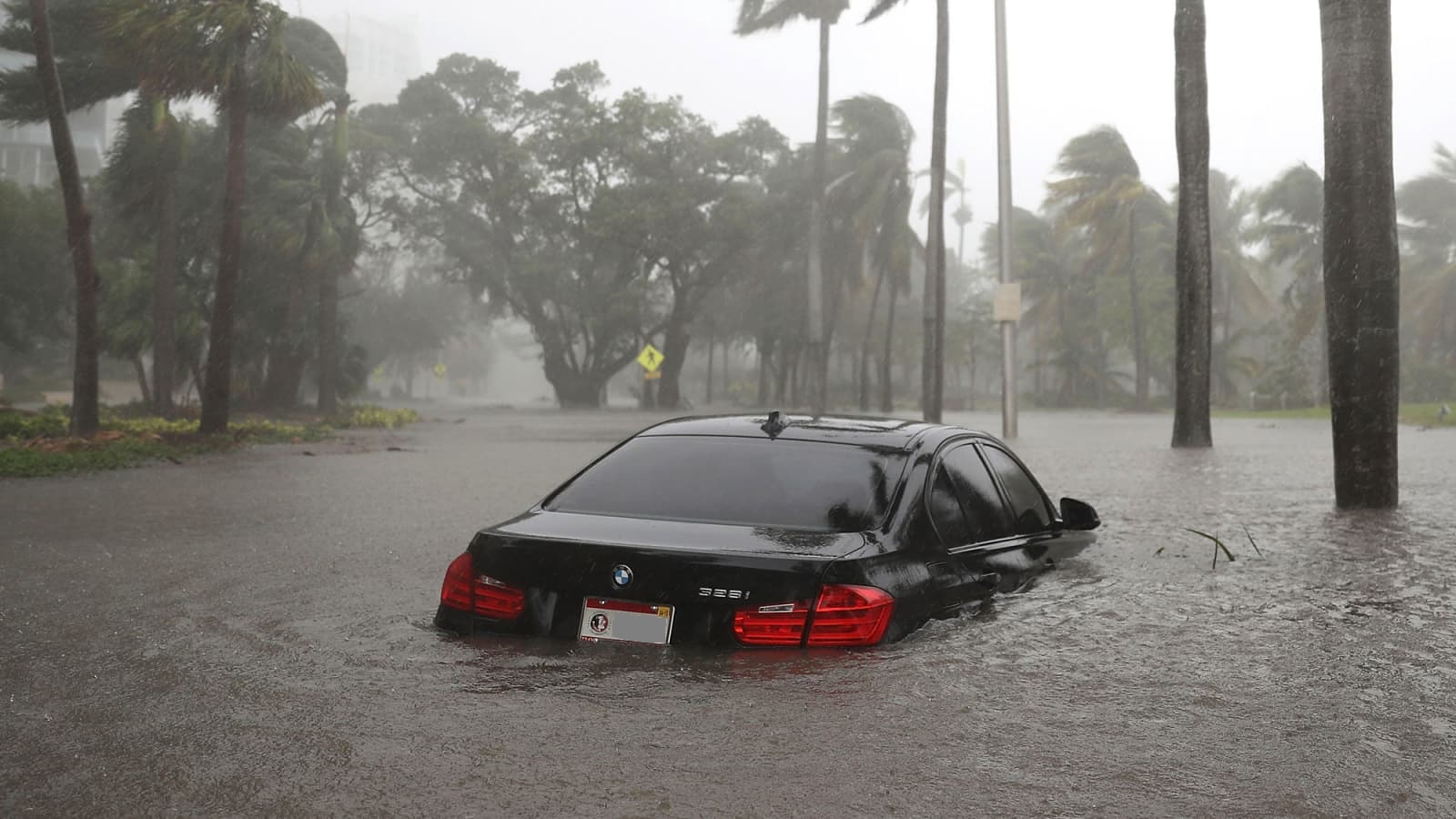 5 Ciri ciri Mobil Bekas Banjir yang Tidak Penjual Sampaikan